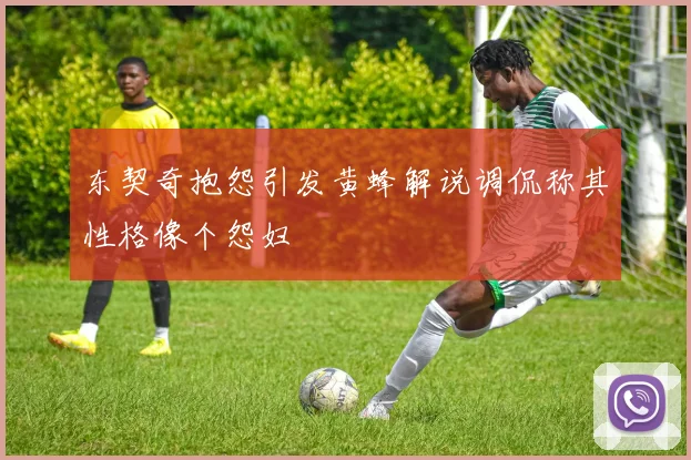 东契奇抱怨引发黄蜂解说调侃称其性格像个怨妇