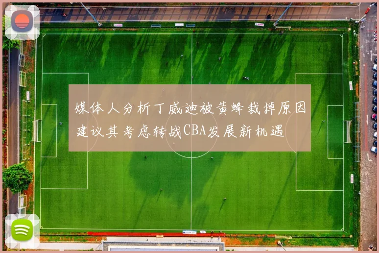 媒体人分析丁威迪被黄蜂裁掉原因建议其考虑转战CBA发展新机遇