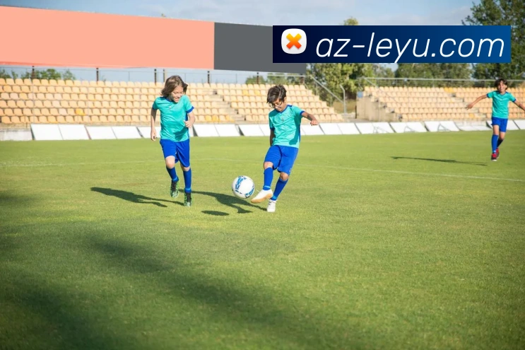 乐鱼体育平台生态图