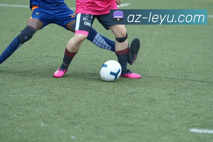 乐鱼体育APP 封面图